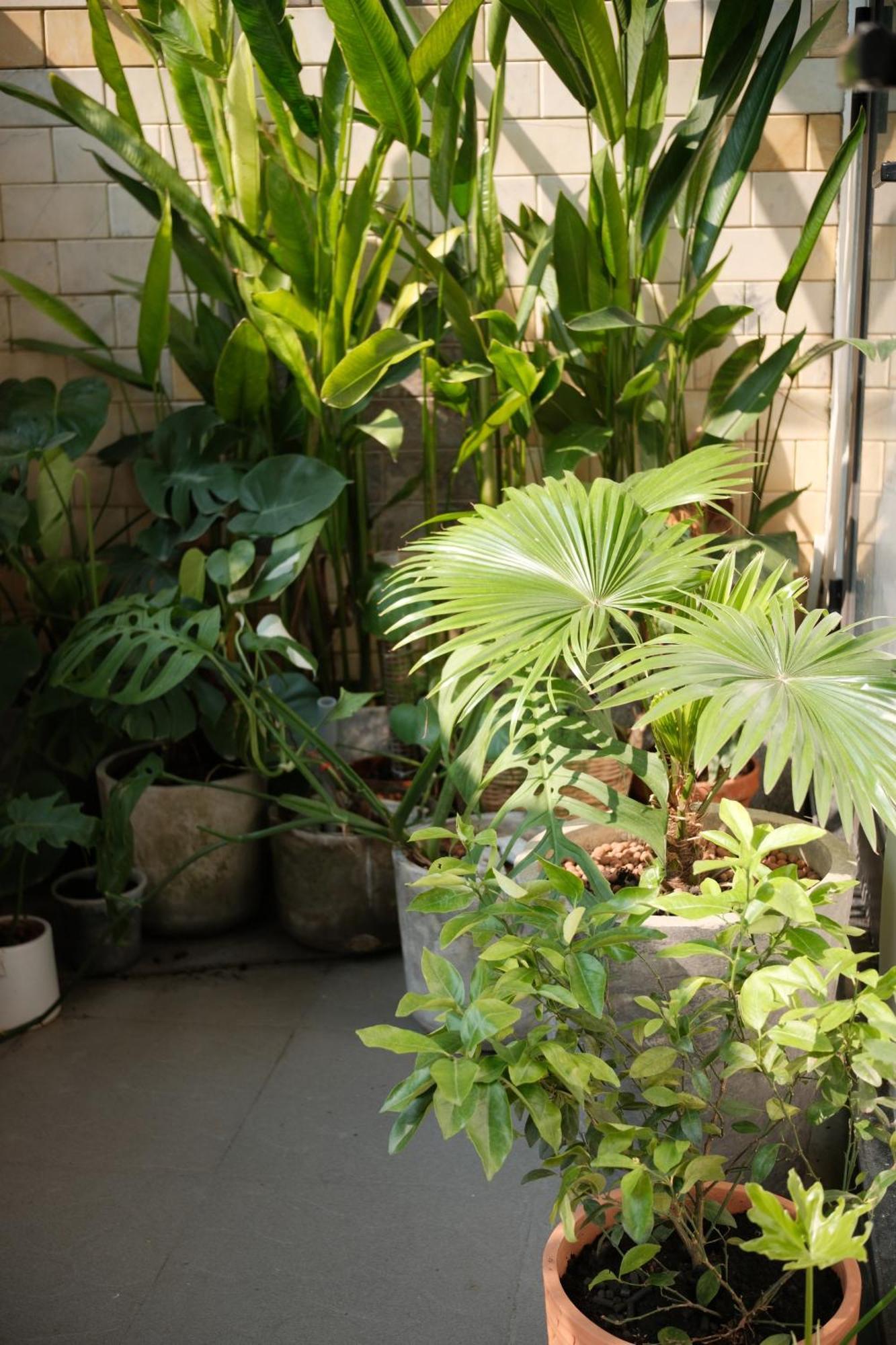Glory Hue Homestay Exterior foto