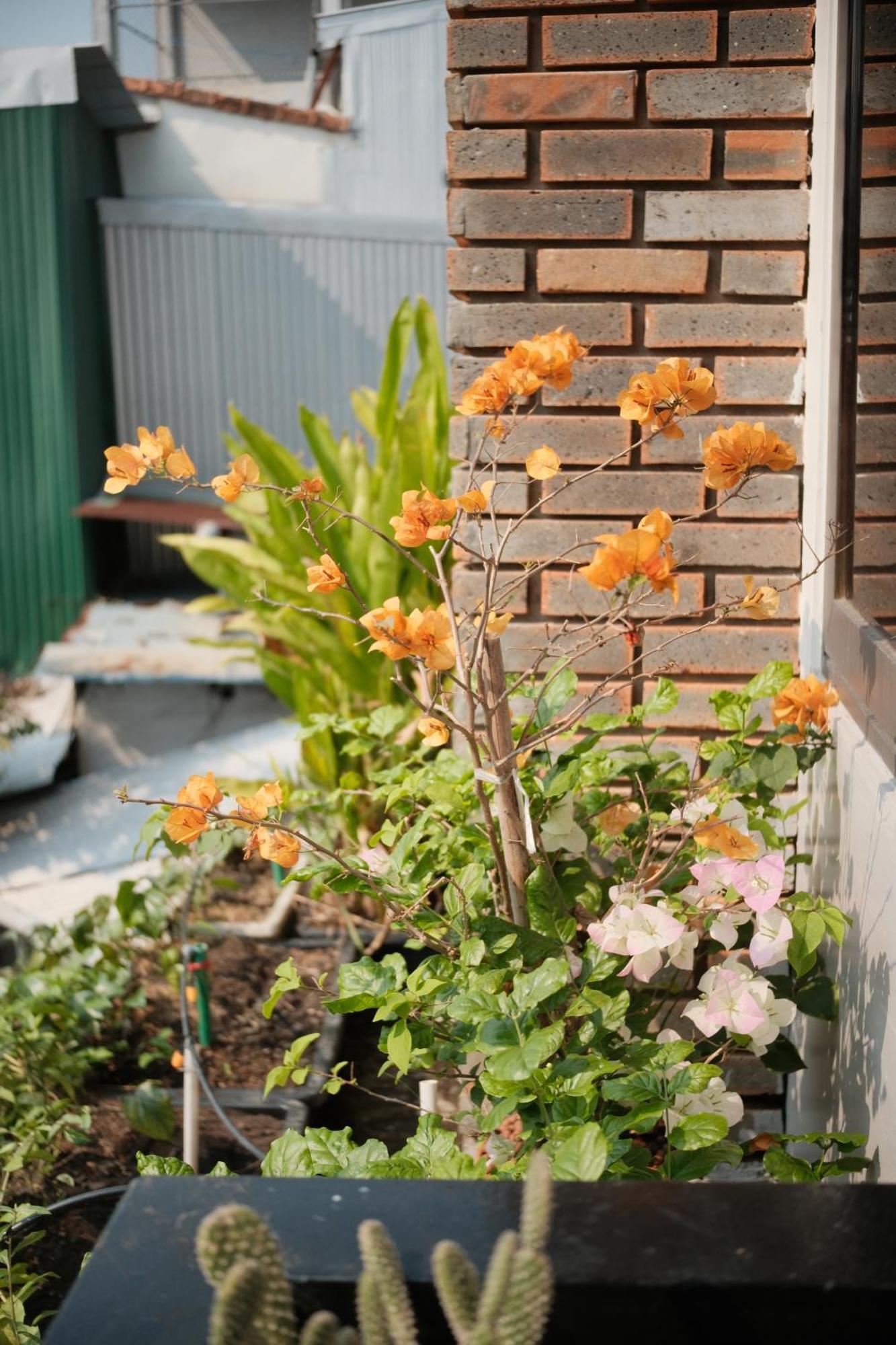 Glory Hue Homestay Exterior foto